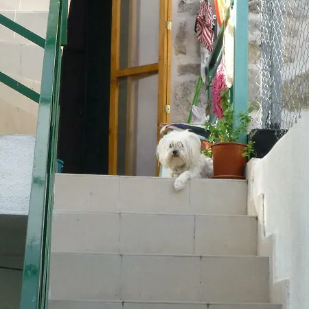 Cosy In The Center Of בית הארחה